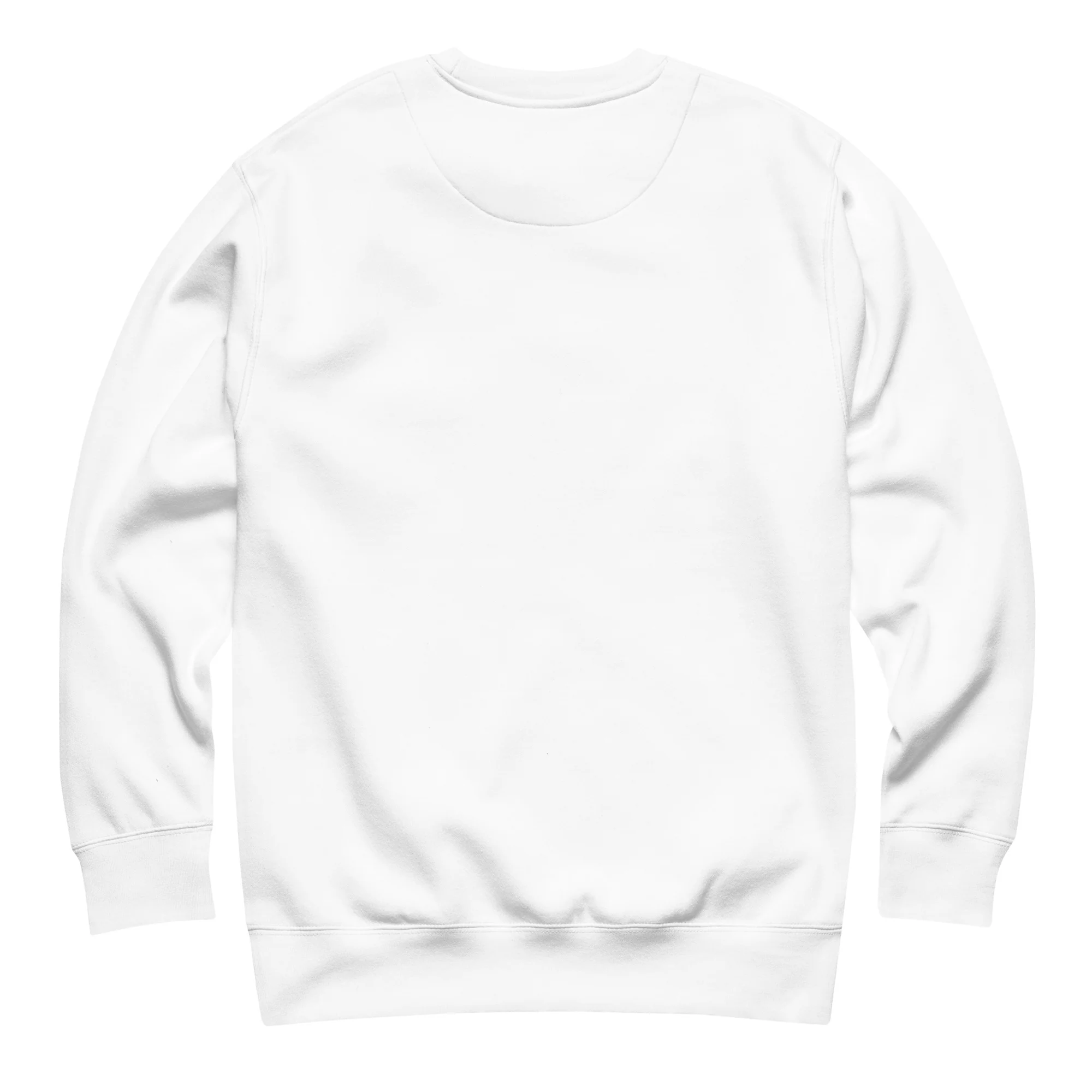 BR 10 Unisex Embroidered Sweatshirt - Image 4