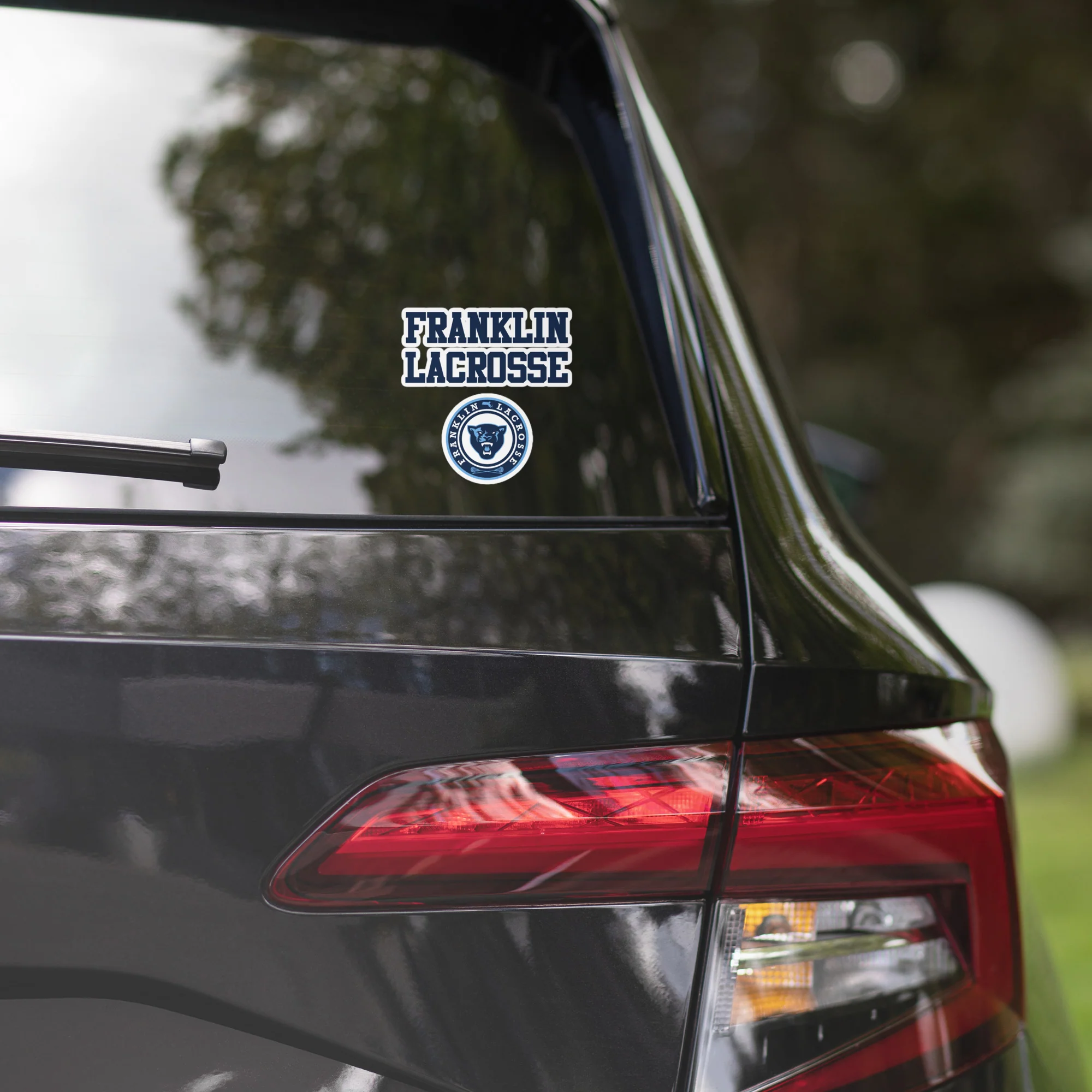 Franklin Bubble-free Stickers