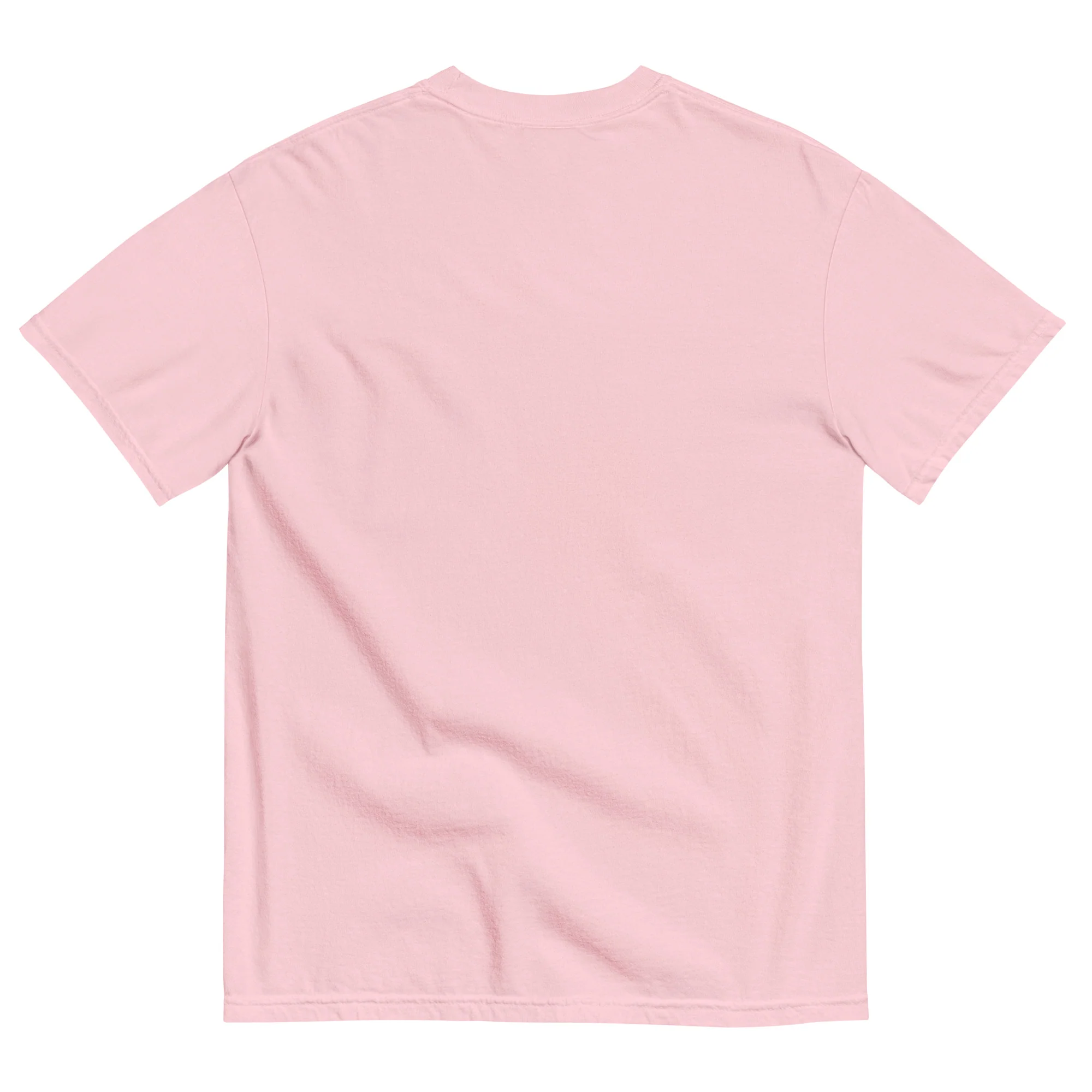 Indian River Unisex garment-dyed t-shirt - Image 17