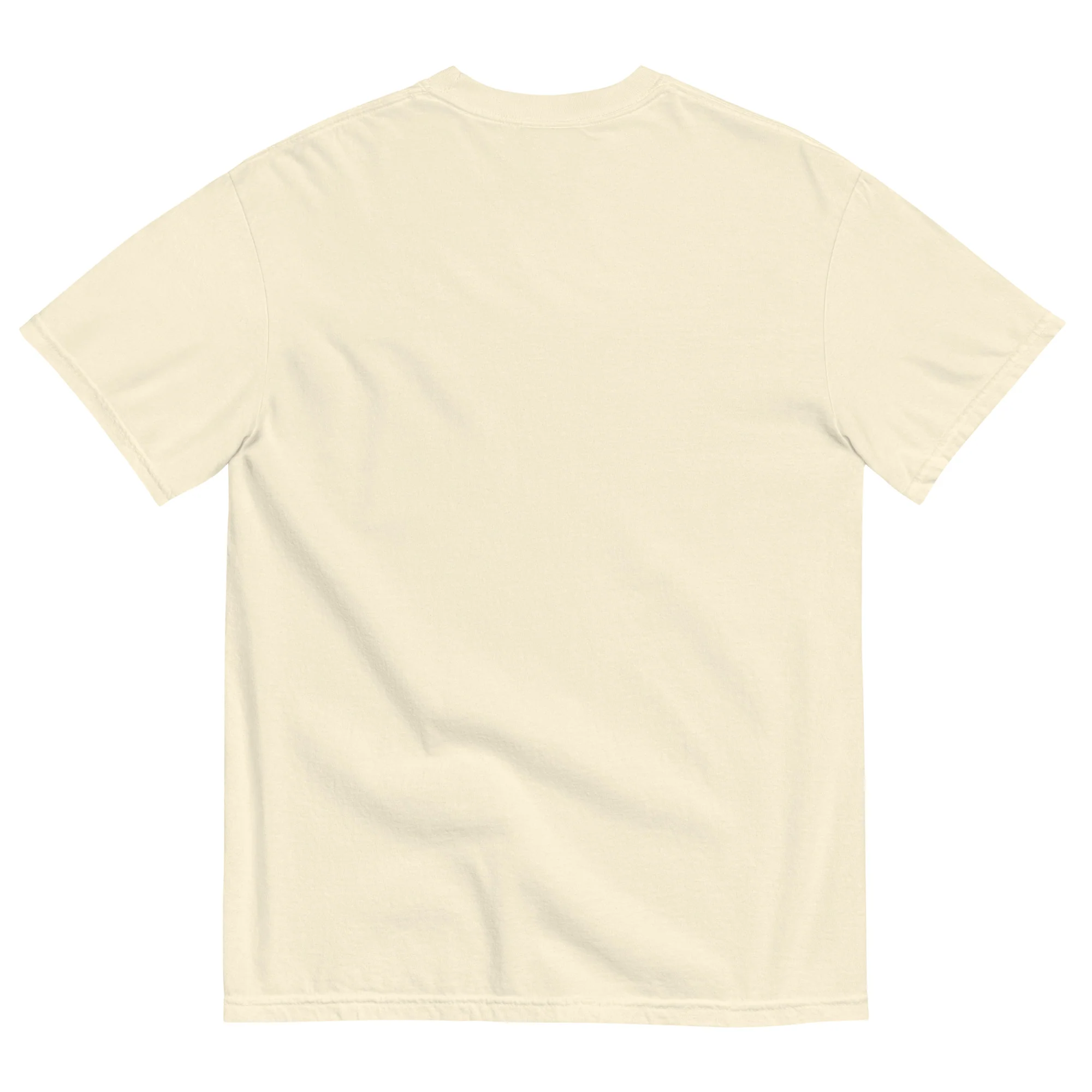 Indian River Unisex garment-dyed t-shirt - Image 19