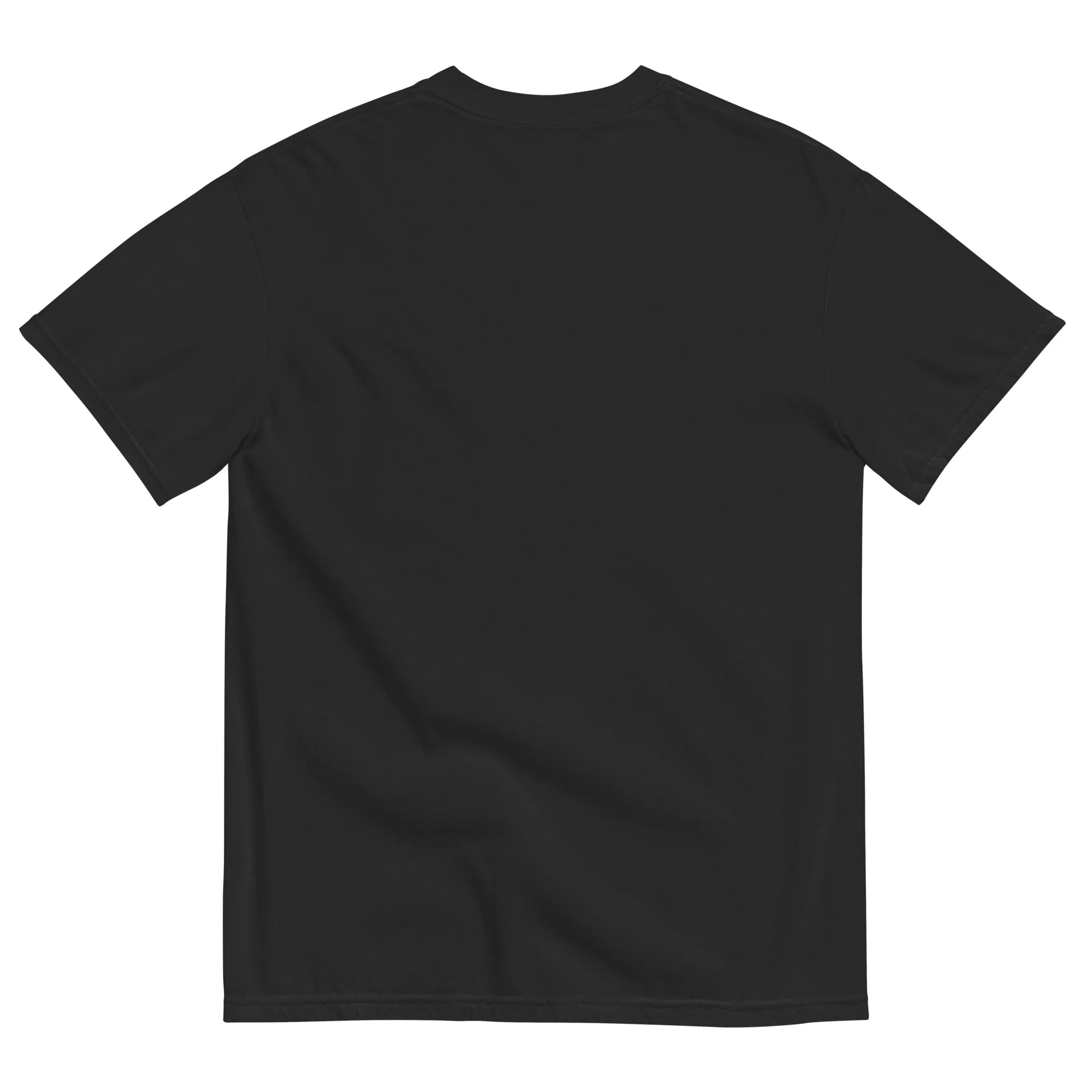 Jackson Classic Unisex garment-dyed t-shirt - Image 2