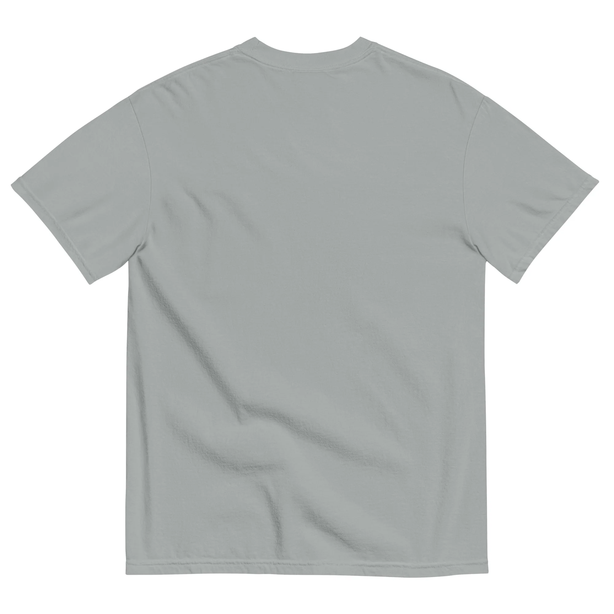 Salem Unisex garment-dyed t-shirt - Image 14