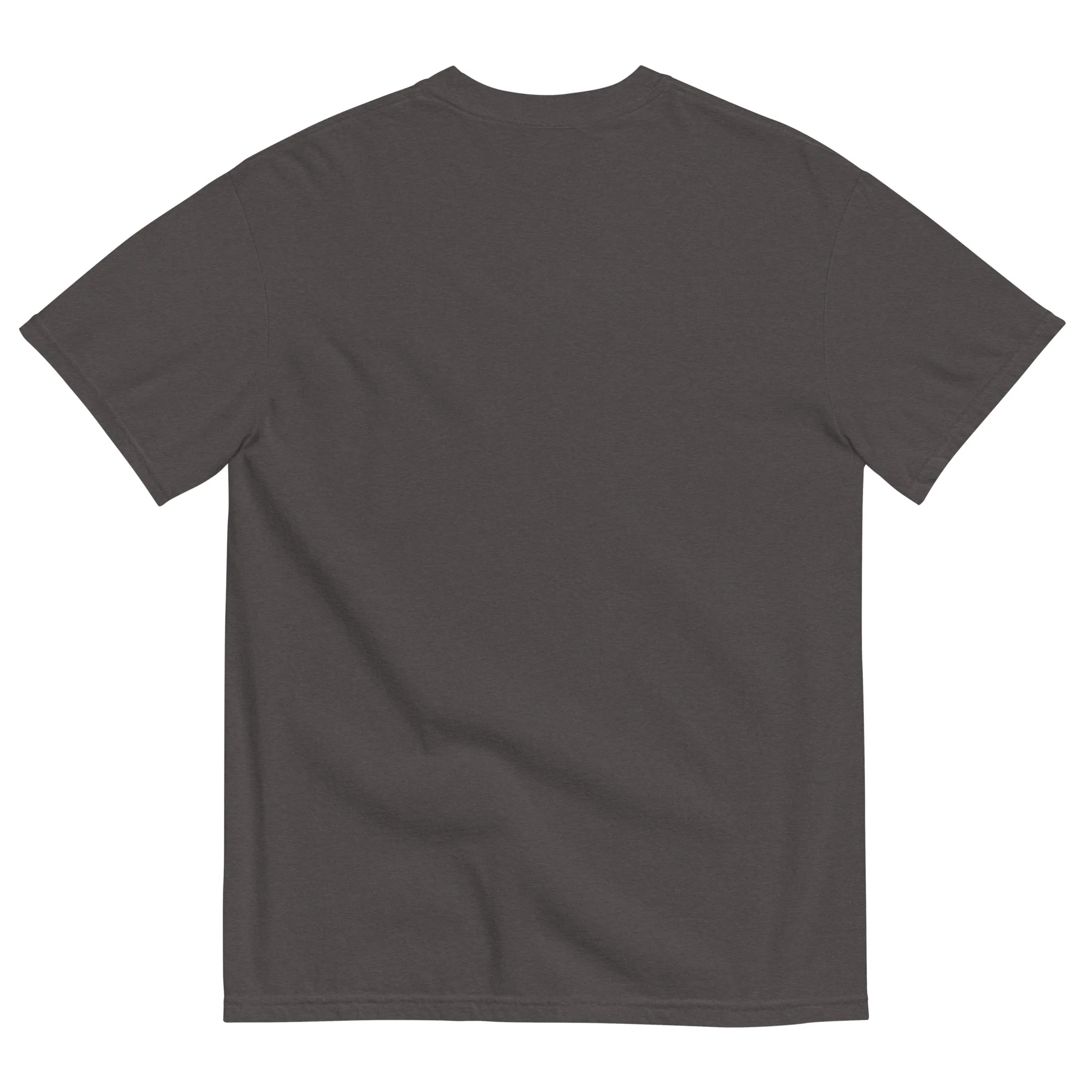 Salem Unisex garment-dyed t-shirt - Image 4